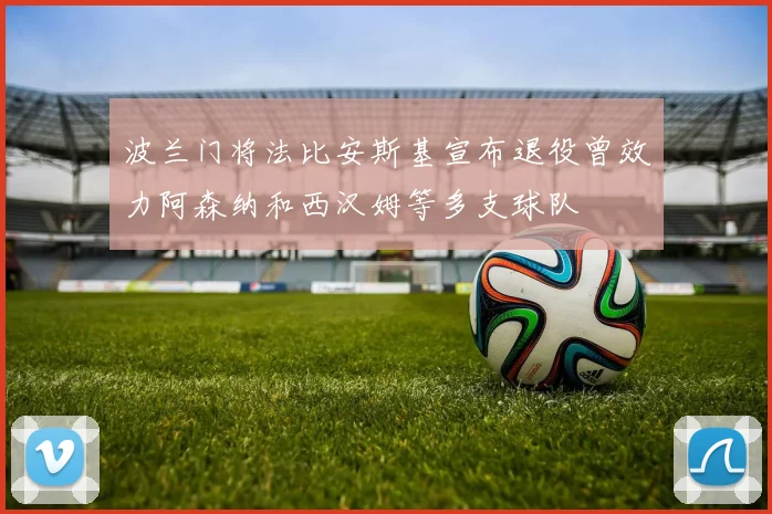 波兰门将法比安斯基宣布退役曾效力阿森纳和西汉姆等多支球队