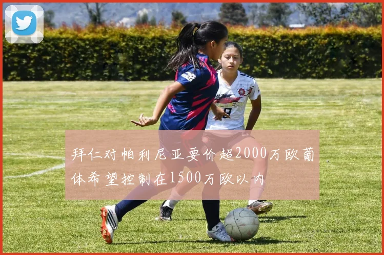 拜仁对帕利尼亚要价超2000万欧葡体希望控制在1500万欧以内