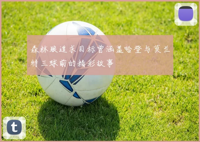 森林狼追求目标曾涵盖哈登与莫兰特三球前的精彩故事